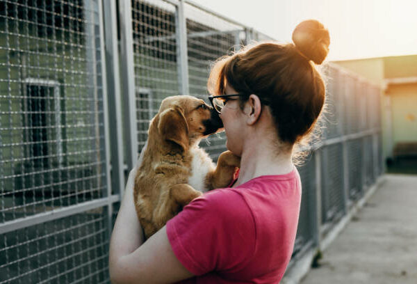 Young woman adopting dog from a shelter.